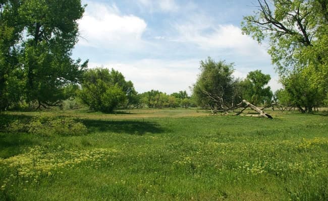 पटना : भूदान की वितरित 3.37 लाख एकड़ जमीन की शुरू होगी जांच