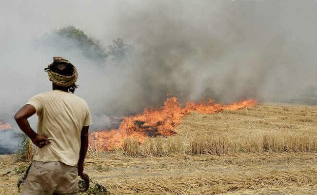 सरकार की किसानों से अपील : जलाने के बजाय बायोगैस आदि बनाने में करें डंठल और पुआल का प्रयोग