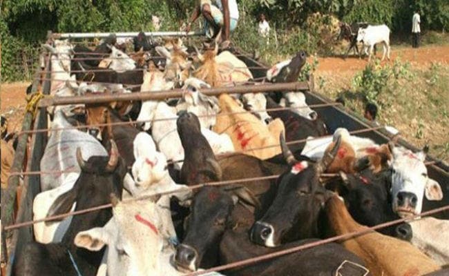 रांची : अब पशु तस्करी की जांच नहीं कर सकेंगे एसपीसीए अधिकारी