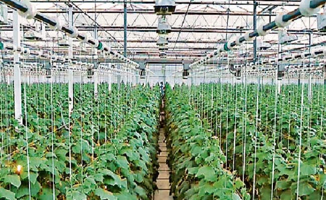 रांची : फूड समिट के इवेंट पार्टनर के लिए आयी सिर्फ एक कंपनी