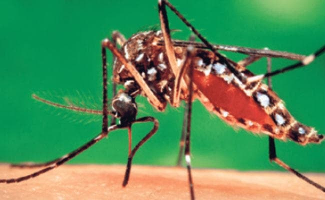 कोलकाता : अब वाटगंज में डेंगू से महिला की मौत