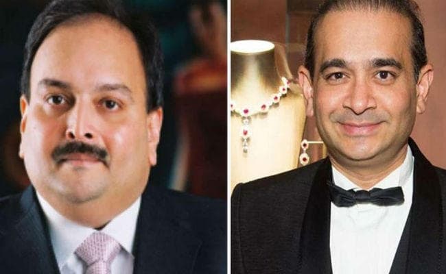 CBI की सफाई : नीरव मोदी और मेहुल चोकसी के फरार होने में हमारा कोई हाथ नहीं