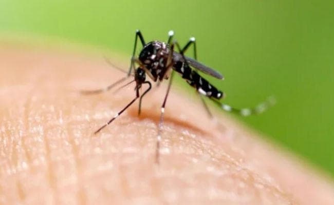 पटना : डेंगू से पहली मौत, हड़कंप, अब तक 70 मरीजों में डेंगू की पुष्टि