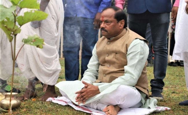 CM रघुवर ने की करमा पूजा के अवसर पर पूरे राज्य में 60 हजार करम पौधारोपण की शुरुआत