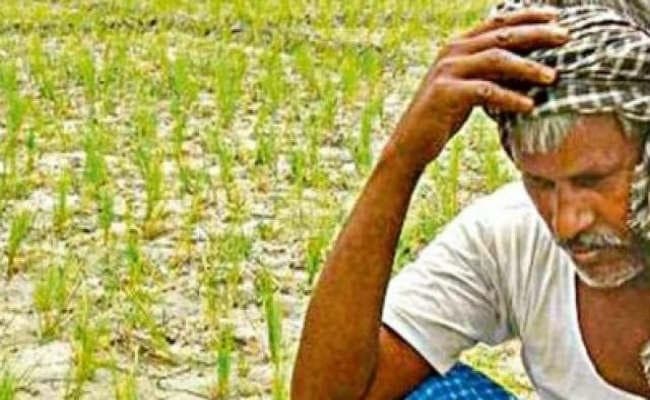 नयी नीति और किसानों के सवाल