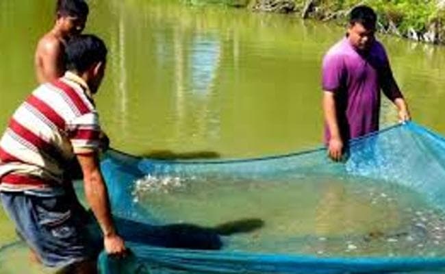 असम में करंट लगने से छह मछुआरों की मौत