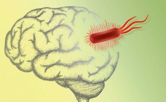 विश्व अल्जाइमर दिवस: दुनियाभर में 4.7 करोड़ लोग हैं प्रभावित, भारत में 16 लाख को है यह बीमारी