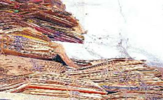 शिक्षा विभाग के करीब 500 पुरानी फाइलों में लगा दीमक, री-राइट करना होगा मुश्किल