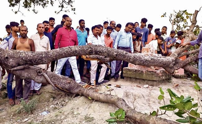 गोपालगंज : तीन छात्रों पर गिरी पेड़ की डाली, एक मरा