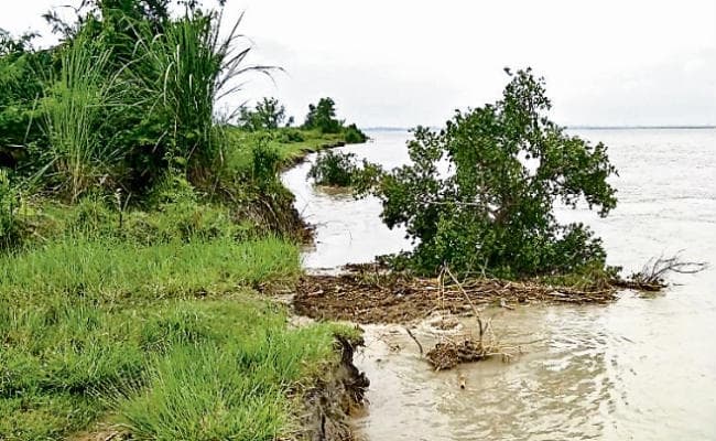 पेड़ों व वन्यजीवों के नदी में विलीन होने का खतरा