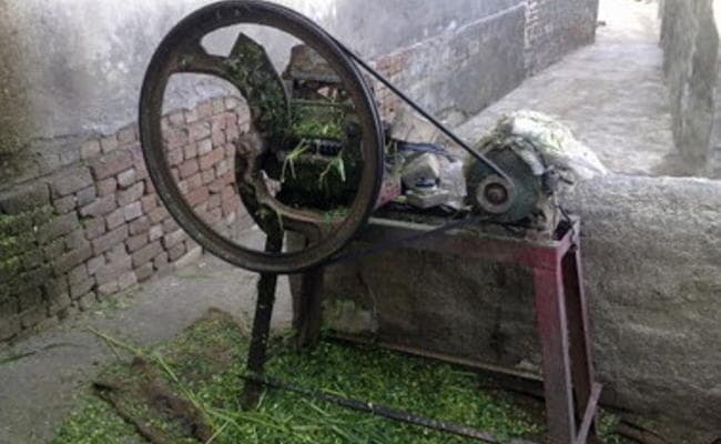 चारा काटने की मशीन से महिला की गर्दन कटी