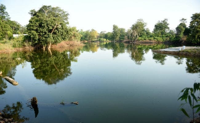 गांधी जयंती के दिन से अपने अतिथियों के स्वागत को आतुर है बेतला नेशनल पार्क