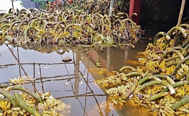 पटना : जलजमाव से बाजार समिति के फल कारोबारियों को दो करोड़ का नुकसान