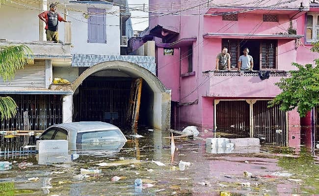 बाढ़ का कहर : मरने लगे जानवर, पानी में बह रहे गाय, सुअर व कुत्ता, बीमारियों का बढ़ा खतरा