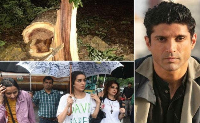 Aarey Protest: बॉलीवुड हस्तियों ने आरे में पेड़ों की कटाई पर जताया आक्रोश