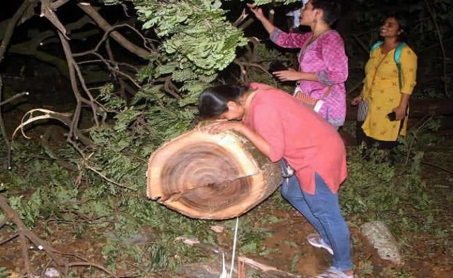 मुंबई में पर्यावरण बचाने की लड़ाईः 5 सालों से पर्यावरण कार्यकर्ताओं और MMRC के बीच चल रही लड़ाई