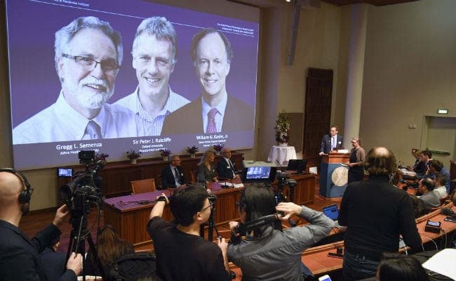 कोशिकाओं, ऑक्सीजन पर अनुसंधान के लिए तीन वैज्ञानिकों को चिकित्सा का नोबेल पुरस्कार