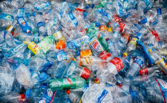 Good News: भारतीय वैज्ञानिकों ने खोजा प्लास्टिक खाने वाला जीवाणु
