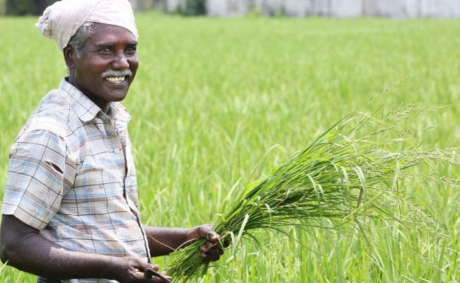 झारखंड के किसानों को थोड़ी देर में मुख्यमंत्री देंगे सौगात, 11 लाख लोगों के खाते में आयेंगे 452 करोड़ रुपये