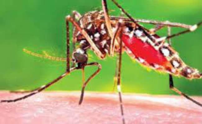 बिहार के इस शहर में कोरोना के बीच मिला पहला डेंगू का मरीज
