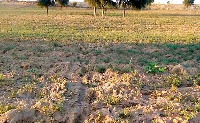 जमीन की खरीद-बिक्री  : सरकार को रोज औसतन 1.36 करोड़ की आय