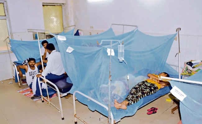 जलजमाव के इलाके में डेंगू का अधिक कहर