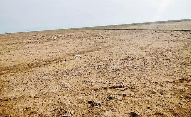 पटना : 20 जिलों में किया जाना है जमीन का सर्वे, अब तक कर्मियों की नहीं हो सकी है बहाली, प्रक्रिया होगी धीमी