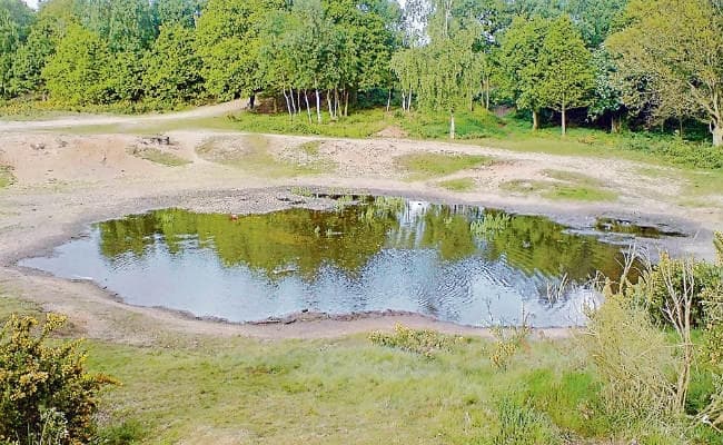 बिहार : एक साल में 23 जिलों के ग्राउंड वाटर लेवल में 11 फीट तक की बढ़ोतरी