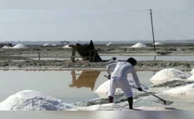 जियोलॉजिकल सर्वे ऑफ इंडिया के वरिष्ठ वैज्ञानिक की रिपोर्ट - तेजी से सिकुड़ रहा है साॅल्टलेक