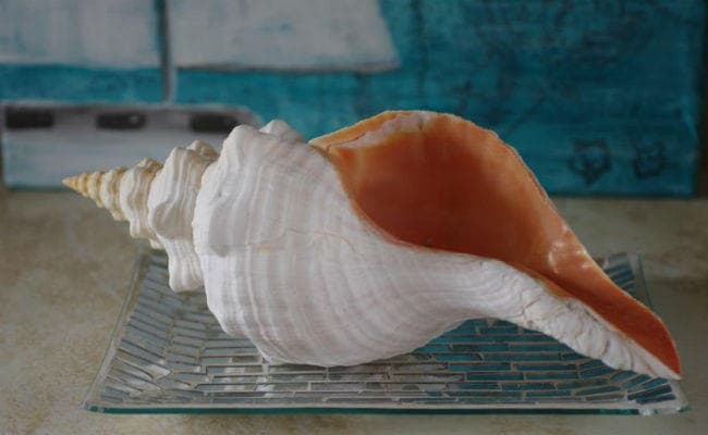 सोनार कालीबाड़ी : आकर्षण के केंद्र में बड़ा शंख