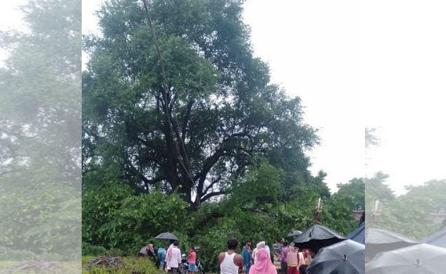 चांडिल के घोड़ानेगी में वर्षों पुराना इमली का पेड़ गिरा, पांच बाइक को लिया चपेट में