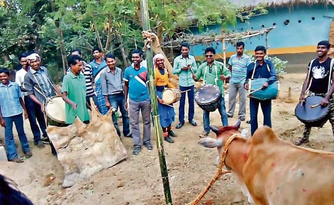 बांदना परब में सभी विधि-विधान महिलाएं ही पूरा करती हैं
