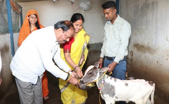 रघुवर दास ने की गोवर्धन पूजा, बोले, गौ धन परंपरा हमारी सांस्कृतिक विरासत और संस्कार का हिस्सा