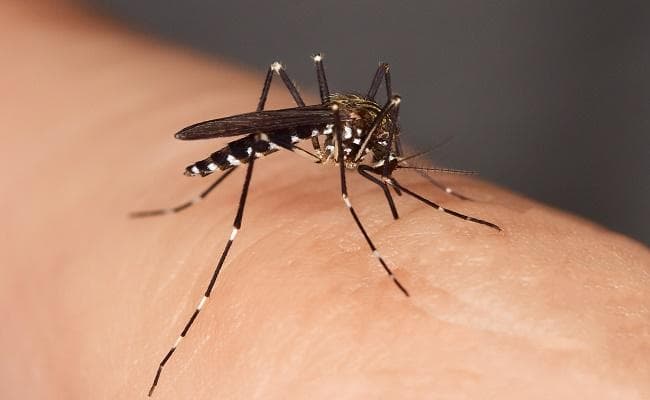 बिहार में 3950 मरीजों में पाये गये डेंगू के लक्षण, नवंबर से डेंगू मरीजों की संख्या में गिरावट दर्ज होने की संभावना