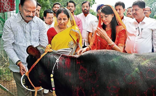 सीएम रघुवर दास ने परिवार संग की गोवर्द्धन पूजा