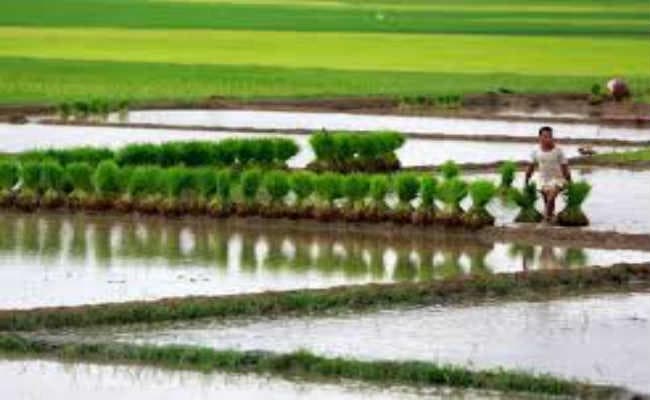 जानकारी के साथ करें खेती होगी दोगुनी आमदनी