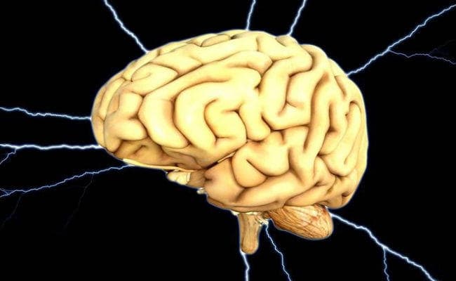 आकार में चीनी, कोरियाई और काकेशियाई लोगों की तुलना आकार में छोटा होता है भारतीयों का मस्तिष्क