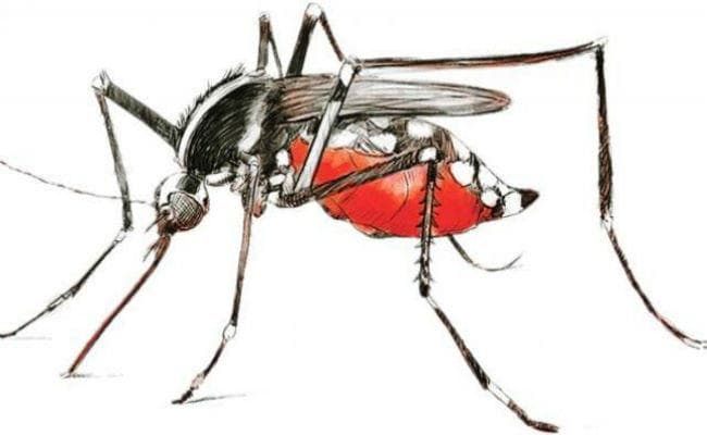 डेंगू से केएमसी अधिकारी की मौत