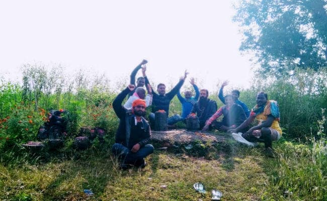 गुमला : आंजनधाम में कई युगों के बाद 365 में से 41 शिवलिंग, 22 तालाब व 70 महुआ के पेड़ मिले