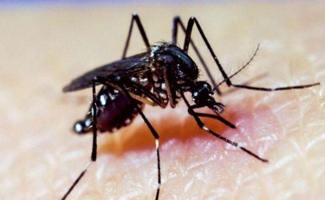 डेंगू रोकने के लिए थ्री डी नक्शे की ली जायेगी मदद