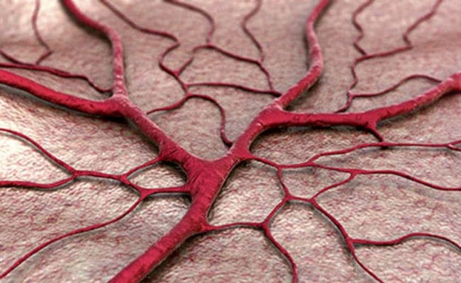 भारतीय मूल के वैज्ञानिक ने खोजा रक्त वाहिकाओं से लैस 3डी प्रिंट वाली त्वचा विकसित करने का तरीका