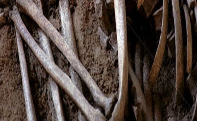 खाली पड़ी जमीन में हड्डियां मिलने से हड़कंप