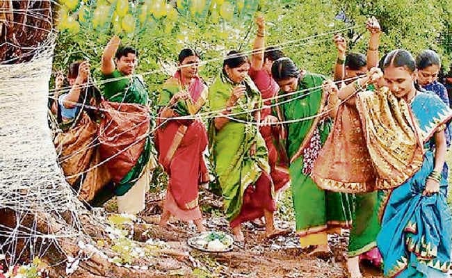 अक्षय नवमी आज, आंवले की पूजा से मिलेगा महा वरदान, उत्तम स्वास्थ्य की होगी प्राप्ति