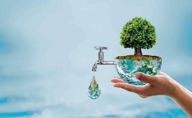 दुनिया में बजेगा बिहार के जल जीवन हरियाली प्रोजेक्ट का डंका, मिस्र में बताई जाएगी सफलता की कहानी