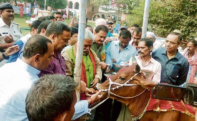 गया : सूबे की सभी गोशालाओं को मिलेंगे 20-20 लाख रुपये