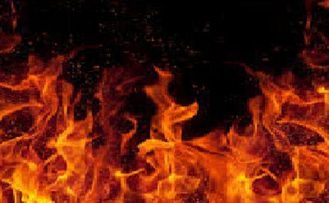 तेलंगाना : महिला तहसीलदार के ड्राइवर की भी मौत, पेट्रोल डालकर युवक ने लगा दी थी आग फिर…