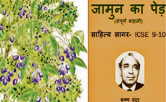 पटना : सीआइएससीइ ने 10वीं के सिलेबस से कहानी को हटाया, ‘जामुन का पेड़’ से नहीं पूछा जायेगा प्रश्न