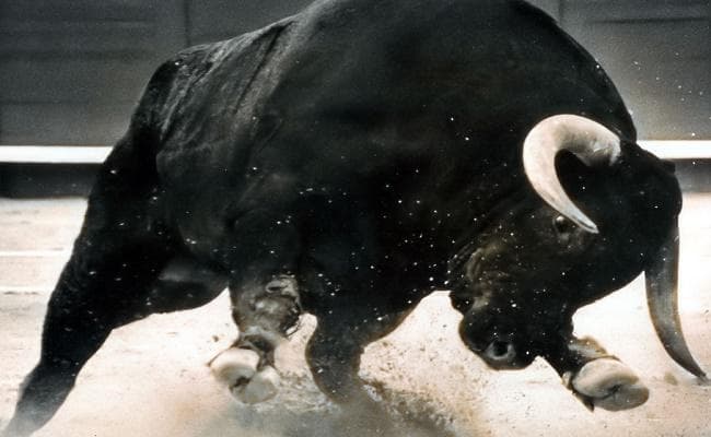 UP News : अलीगढ़ में सांड की टक्कर से दो बाइक सवार की मौत, होमगार्ड घायल, सड़क पर घूम रहा सांड भी नहीं बचा