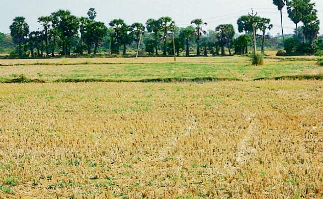 बिहार में 61 साल पुराने चकबंदी नियम में बदलाव की तैयारी