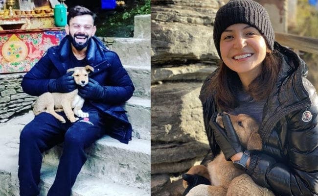 इस नन्हे मेहमान संग दिखे अनुष्‍का शर्मा और विराट कोहली, तसवीरें वायरल